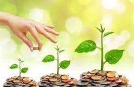 Chứng khoán cơ bản dành cho nhà đầu tư F0